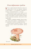 Грибы русского леса. Иллюстрированный определитель — фото, картинка — 5