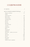 Грибы русского леса. Иллюстрированный определитель — фото, картинка — 15