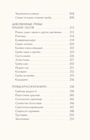 Грибы русского леса. Иллюстрированный определитель — фото, картинка — 17