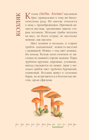 Грибы русского леса. Иллюстрированный определитель — фото, картинка — 9