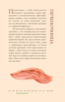 Грибы русского леса. Иллюстрированный определитель — фото, картинка — 11