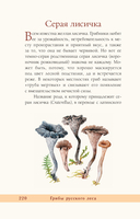 Грибы русского леса. Иллюстрированный определитель — фото, картинка — 13