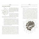 Законы изобилия. Техники и практики материализации желаний — фото, картинка — 1