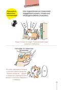 Котик, ты в порядке? Комикс-гид по кошачьим странностям и хитростям — фото, картинка — 14
