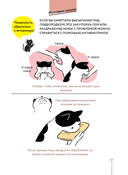 Котик, ты в порядке? Комикс-гид по кошачьим странностям и хитростям — фото, картинка — 19