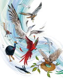 Птицы. Детская энциклопедия — фото, картинка — 2