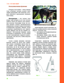 Главная книга владельца кошки — фото, картинка — 16