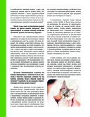 Главная книга владельца кошки — фото, картинка — 11