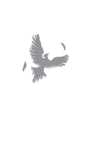 Тропы длинные и короткие — фото, картинка — 1