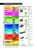 Доисторические первопроходцы. Выпуск 3. Гиганты карбона и перми — фото, картинка — 8
