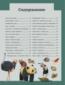 Животные — фото, картинка — 3