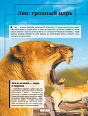 Животные — фото, картинка — 4