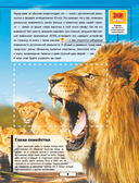 Животные — фото, картинка — 5