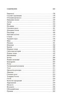 Веселая жизнь — фото, картинка — 17