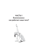 Анатомические меридианы — фото, картинка — 13