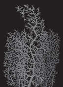 Божественная комедия, или Путешествие Данте флорентийца сквозь землю, в гору и на небеса в пересказе Анджея Иконникова-Галицкого — фото, картинка — 9