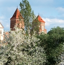 Беларусь. Замкі і людзі — фото, картинка — 4