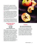 Десерты родом из детства — фото, картинка — 30