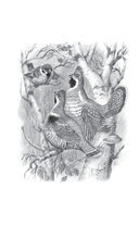 Лесная газета. Рассказы — фото, картинка — 2