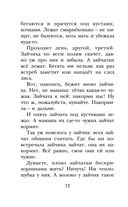 Лесная газета. Рассказы — фото, картинка — 12