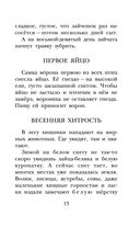 Лесная газета. Рассказы — фото, картинка — 13