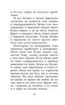 Лесная газета. Рассказы — фото, картинка — 14