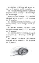 Лесная газета. Рассказы — фото, картинка — 8