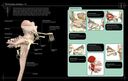 Анатомия человека 360°. Иллюстрированный атлас — фото, картинка — 1
