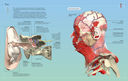 Анатомия человека 360°. Иллюстрированный атлас — фото, картинка — 5