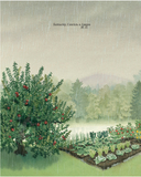 Вода, вода... — фото, картинка — 2