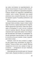 Шум прибоя — фото, картинка — 17