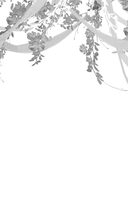 Янтарь рассеивает тьму. Каин — фото, картинка — 19