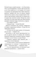 Детективы-футболисты. Тайна невозможного ограбления — фото, картинка — 47