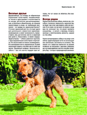 Собаки. Самые известные породы — фото, картинка — 15