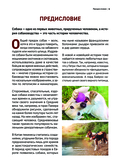 Собаки. Самые известные породы — фото, картинка — 5