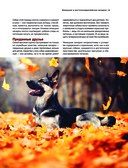 Собаки. Самые известные породы — фото, картинка — 9