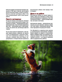 Собаки. Самые известные породы — фото, картинка — 11