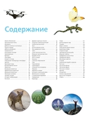 Планета Земля. Факты и фотографии — фото, картинка — 1