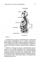 Йога для тех, у кого нет на неё времени — фото, картинка — 2