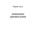 Здоровый позвоночник. Курс упражнений для поддержания осанки и избавления от боли — фото, картинка — 10