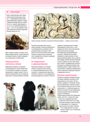 Собаки. Подарочная иллюстрированная энциклопедия — фото, картинка — 12