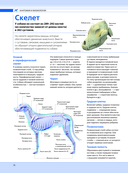 Собаки. Подарочная иллюстрированная энциклопедия — фото, картинка — 15