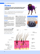 Собаки. Подарочная иллюстрированная энциклопедия — фото, картинка — 17