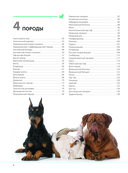 Собаки. Подарочная иллюстрированная энциклопедия — фото, картинка — 3