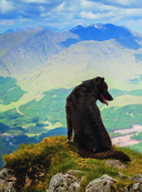 Собаки. Подарочная иллюстрированная энциклопедия — фото, картинка — 7