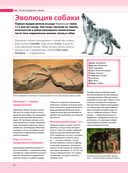 Собаки. Подарочная иллюстрированная энциклопедия — фото, картинка — 9