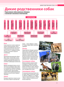 Собаки. Подарочная иллюстрированная энциклопедия — фото, картинка — 10