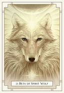 Оракул белого света — фото, картинка — 4