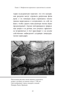 Мифы времен года — фото, картинка — 11