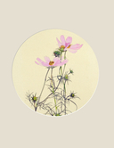 Мир в капле дождя. Осень. Зима. Хайку на все времена — фото, картинка — 10